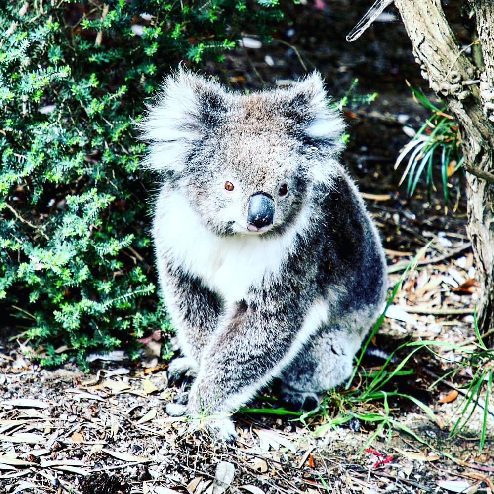 IMG_20171021_212345_682