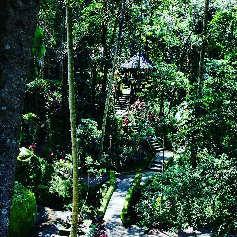 IMG_20171202_223321_761