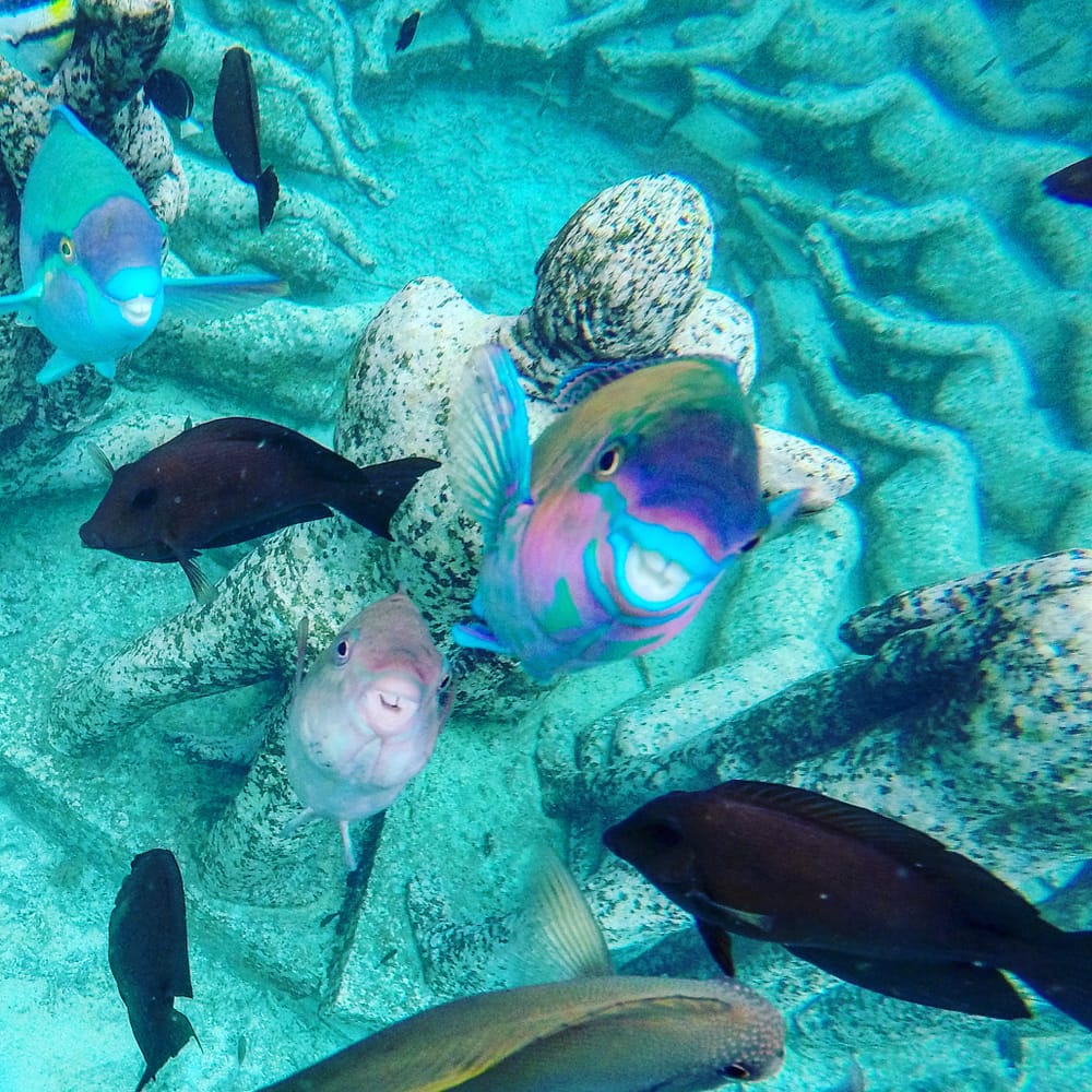 IMG_20171210_103819_350