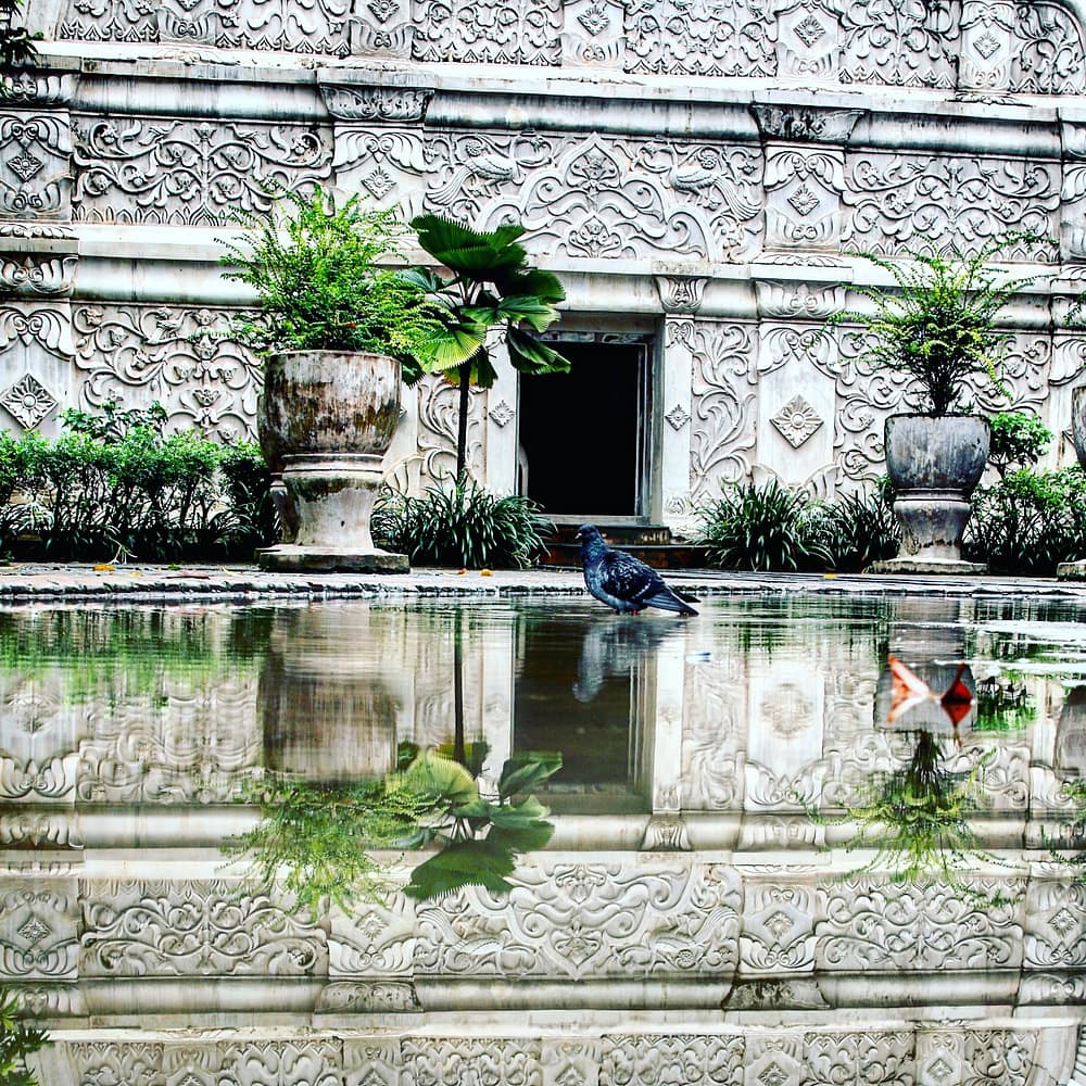 IMG_20171215_194517_992