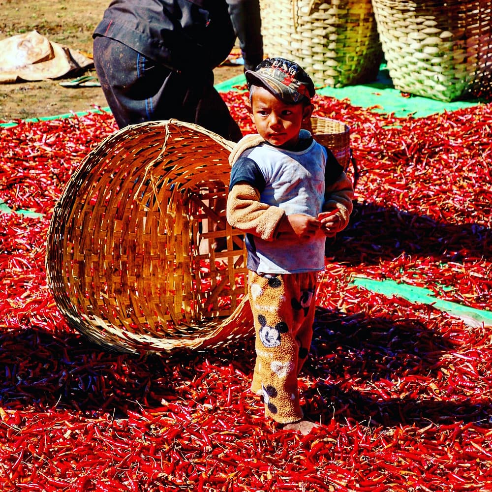 IMG_20180112_220420_618