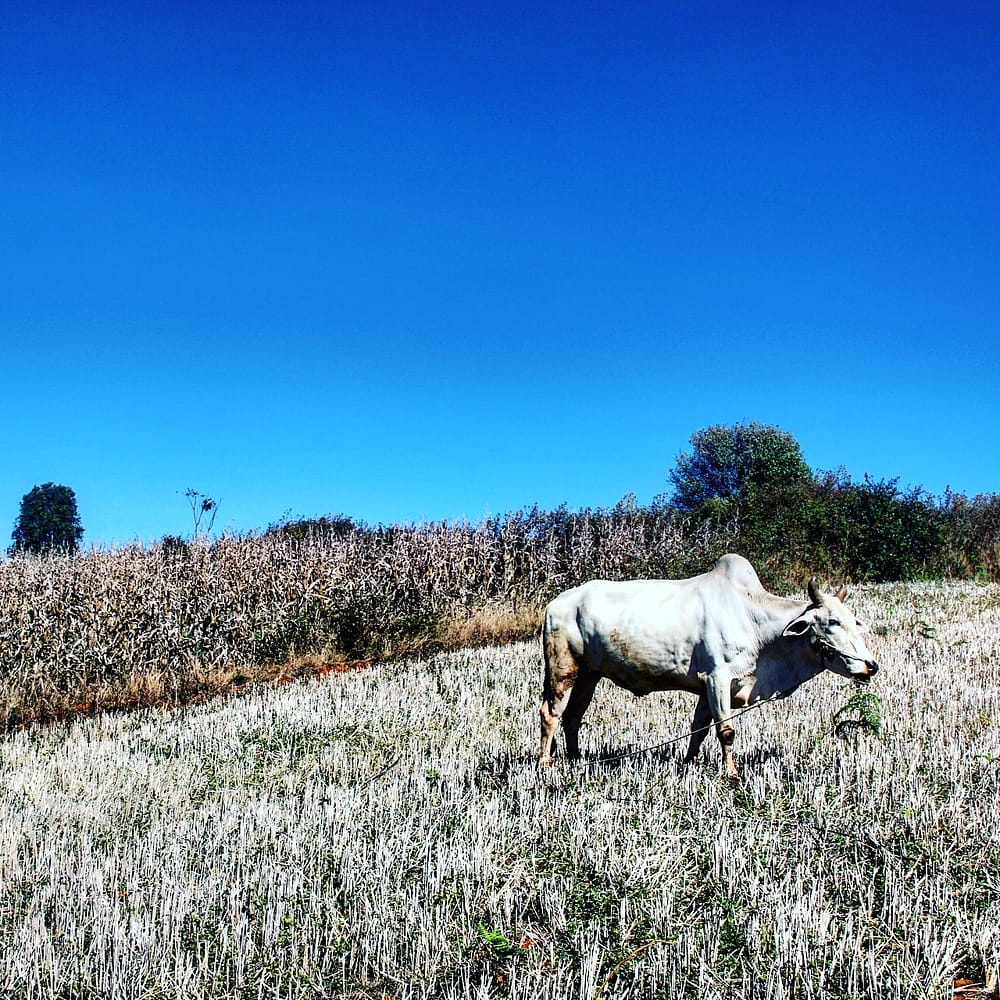 IMG_20180112_220744_952