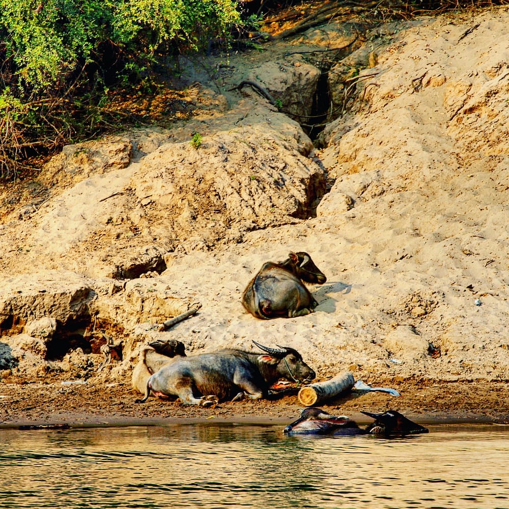 IMG_20180210_122726_329