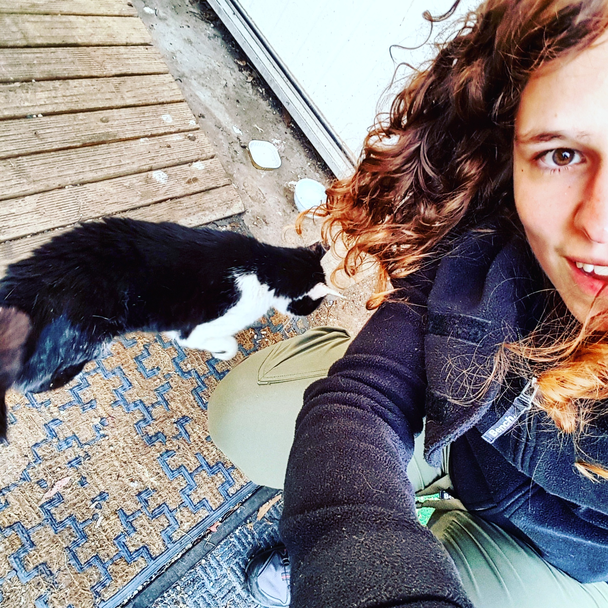 IMG_20171025_191126_341_1