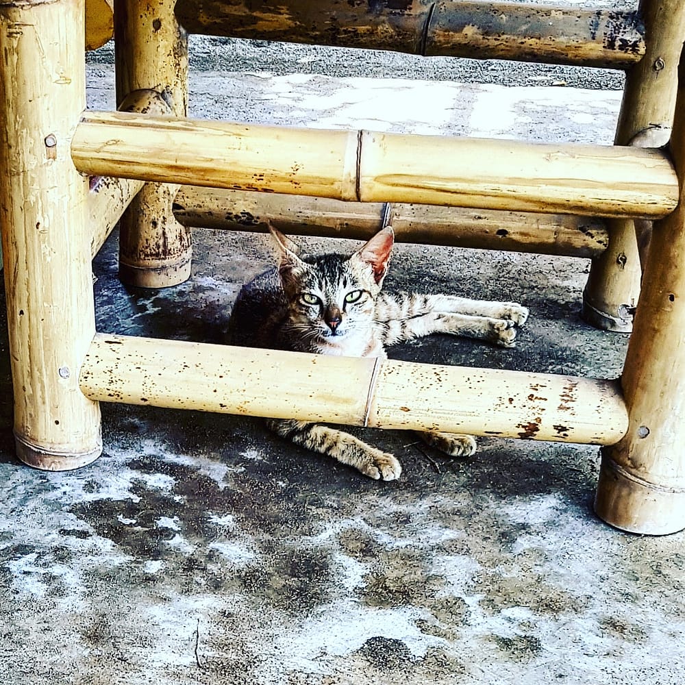 IMG_20171205_205911_527_1