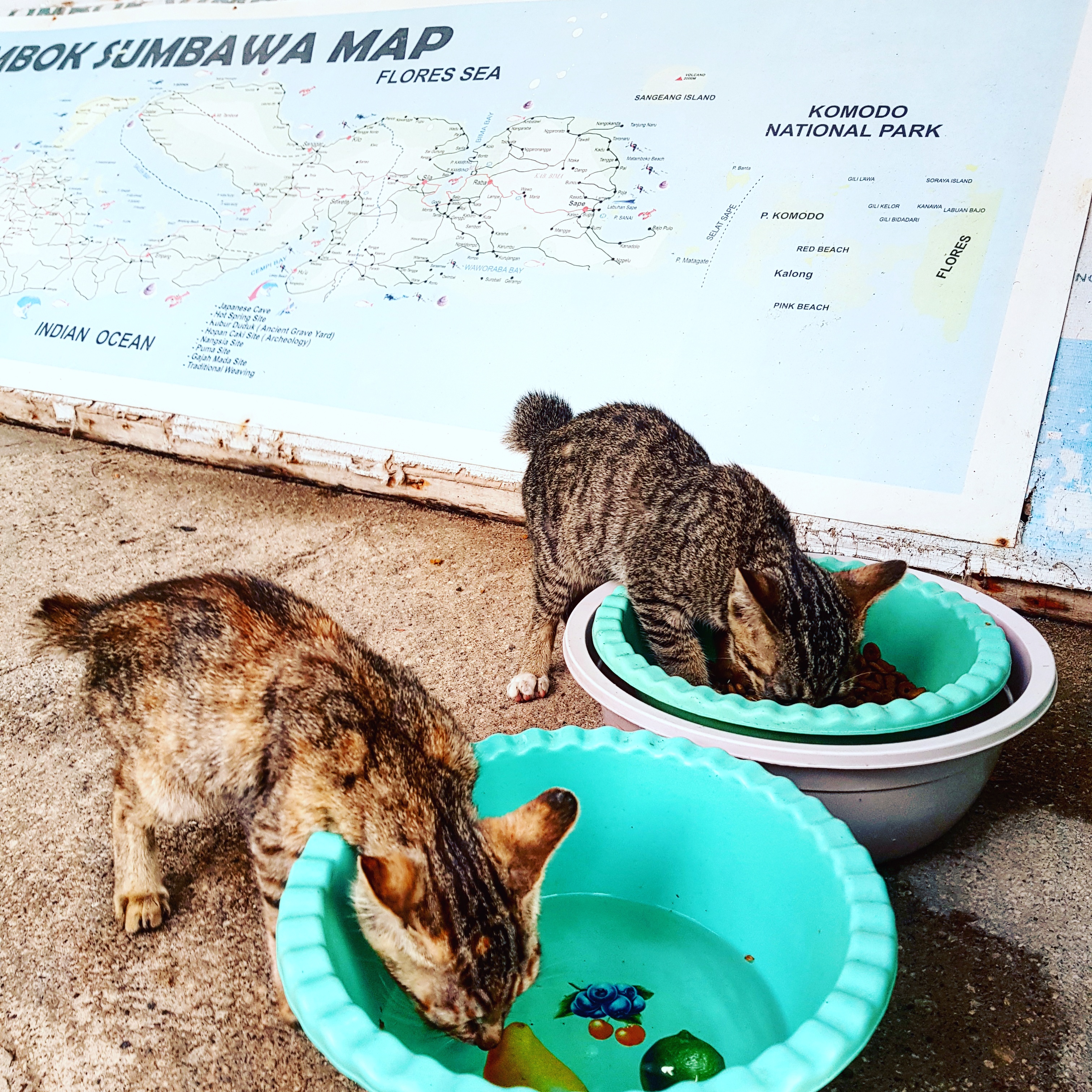 IMG_20171205_210156_864_1