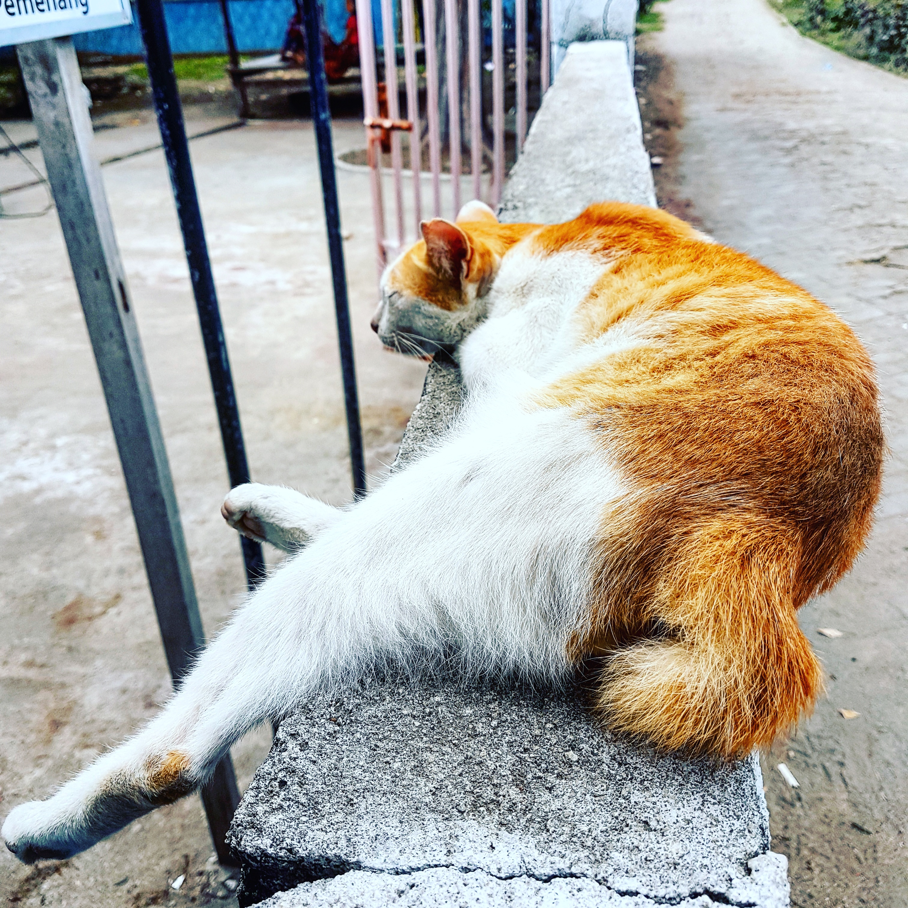 IMG_20171208_154258_867_2