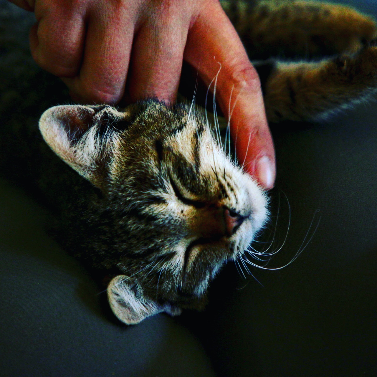 IMG_20180112_221443_593_1