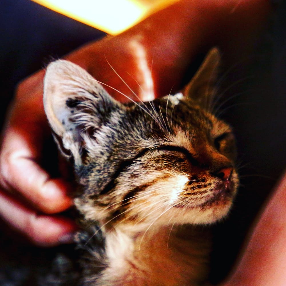 IMG_20180112_221954_312_1