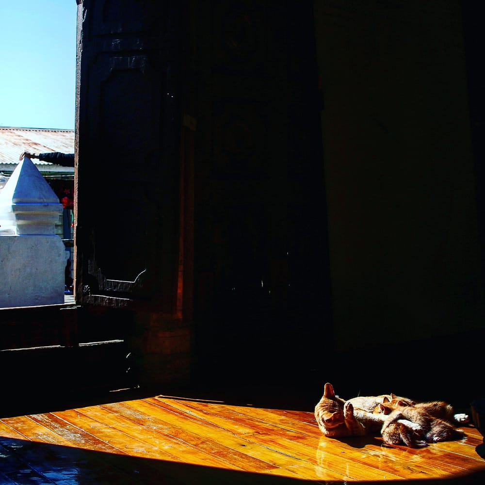 IMG_20180112_222029_267_1