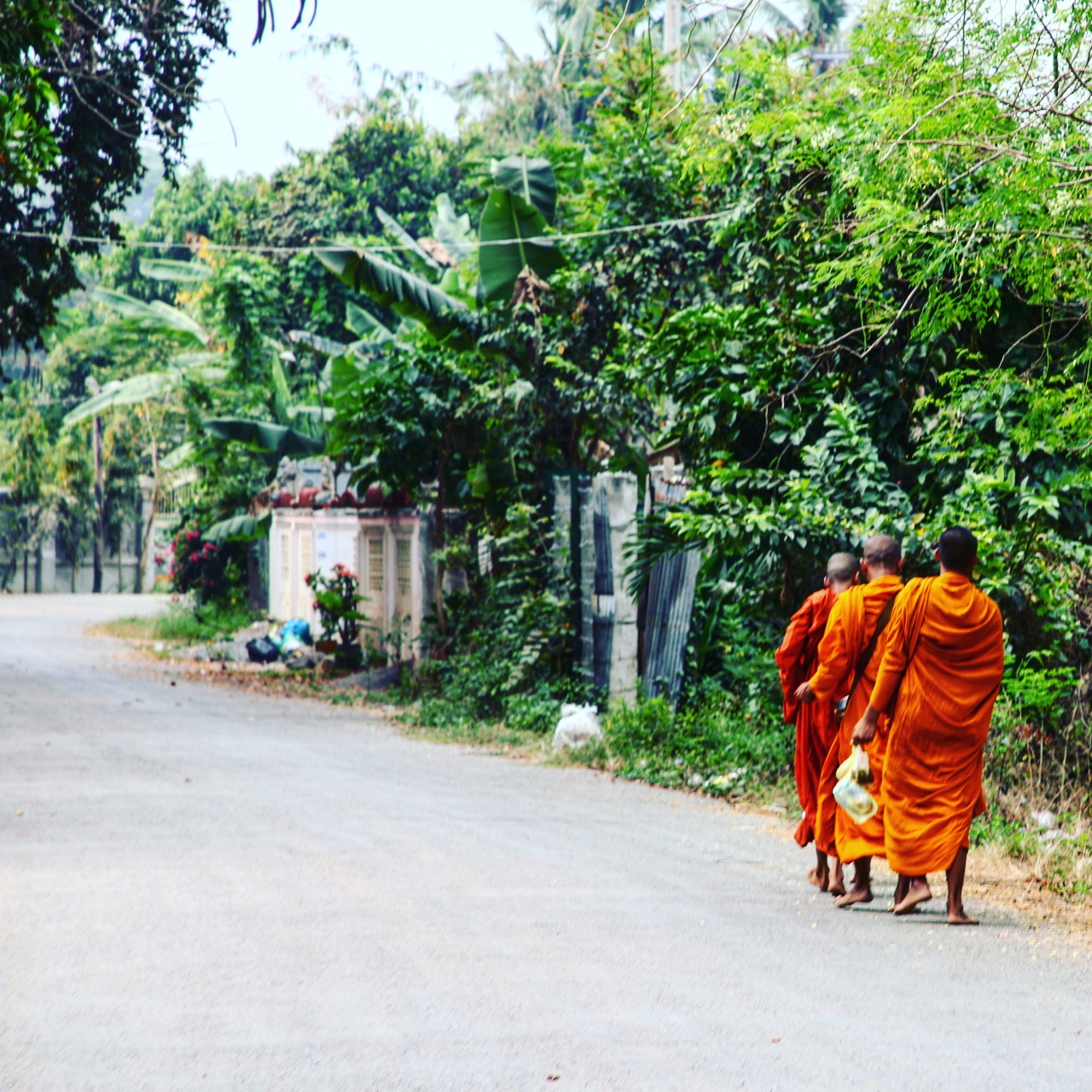 IMG_20180226_154026_108