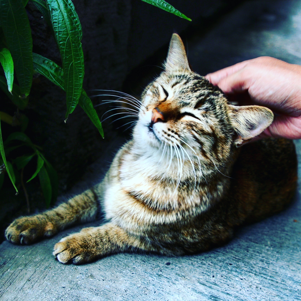 IMG_20180325_221828_340_1