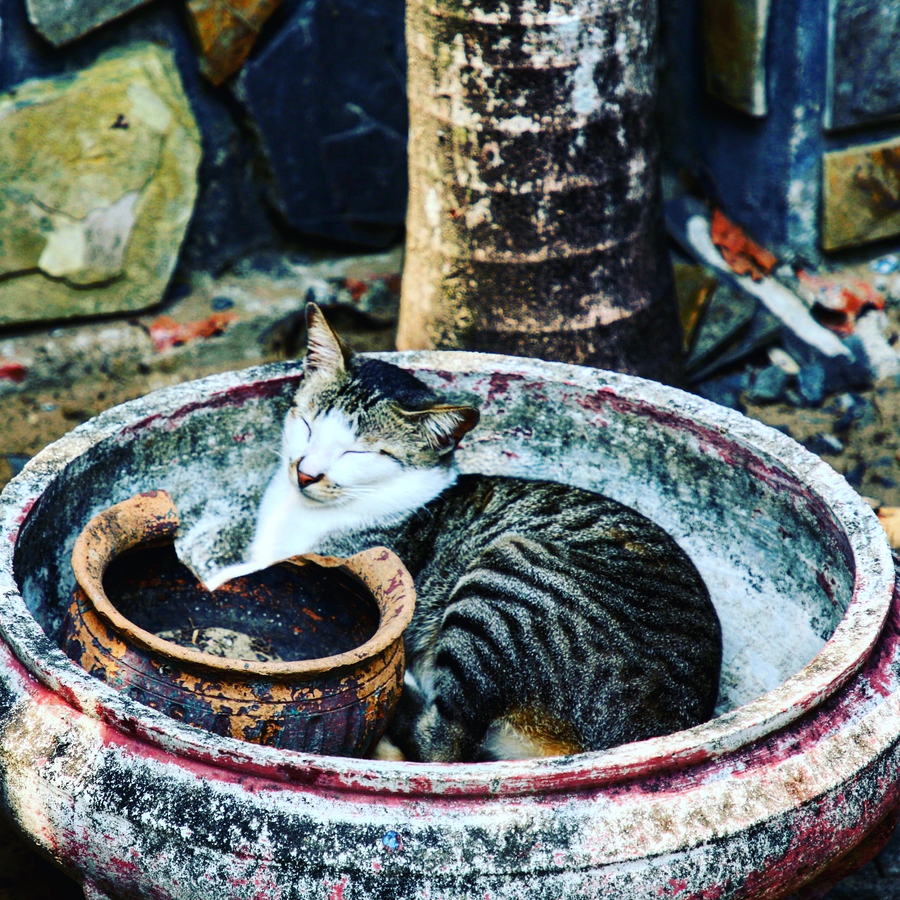 IMG_20180326_212839_698