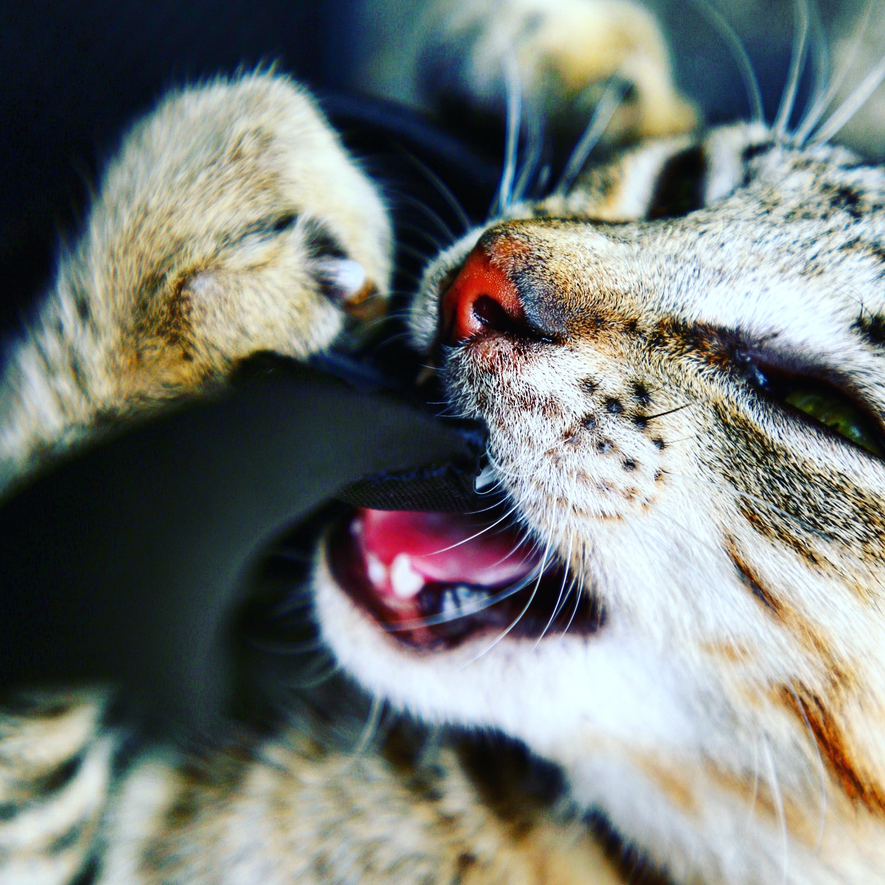 IMG_20180326_212908_345