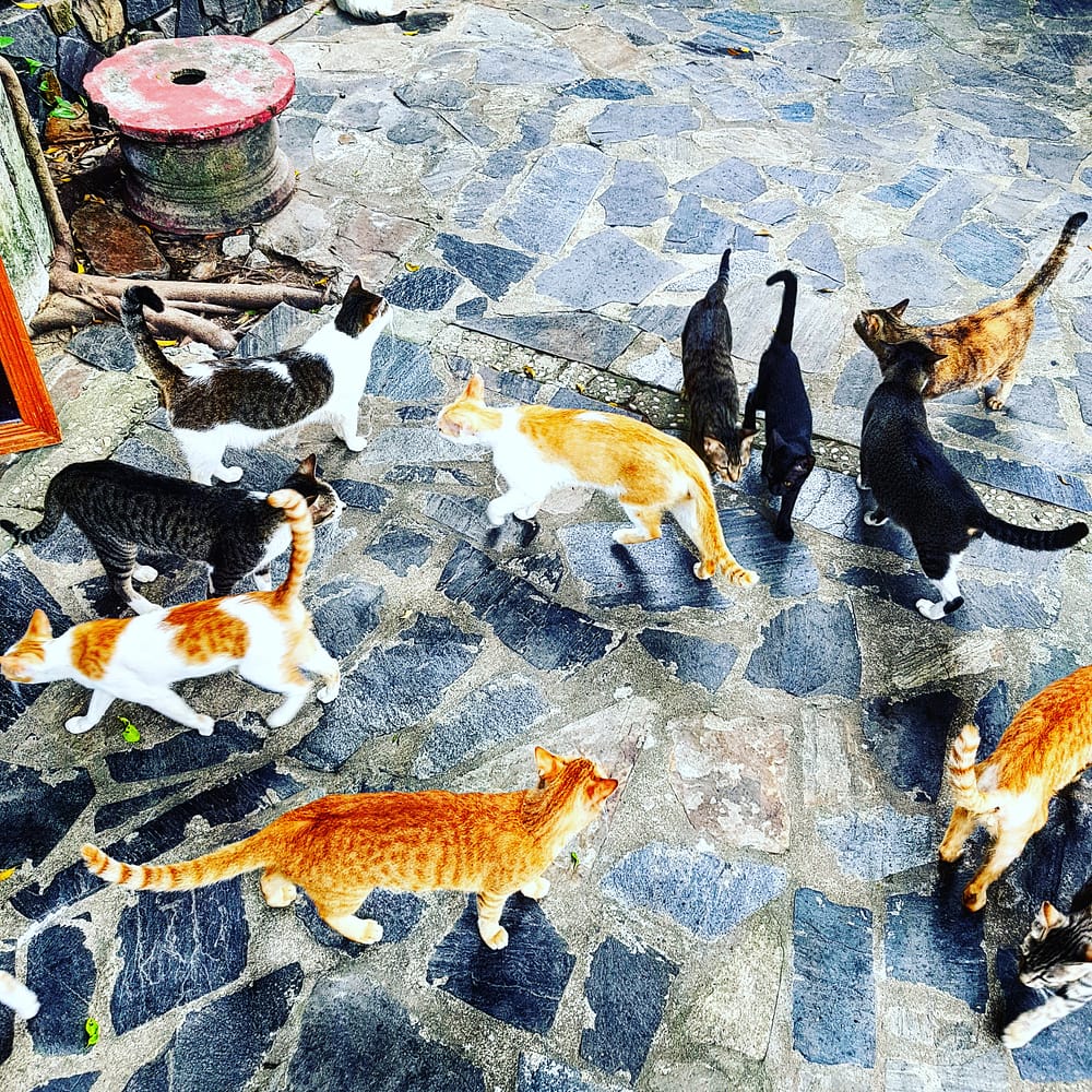 IMG_20180326_215846_509