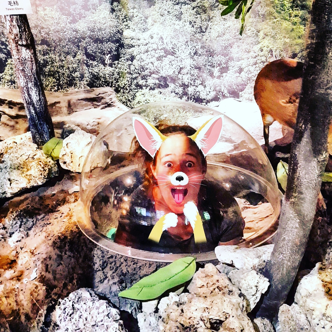 IMG_20180326_215912_295