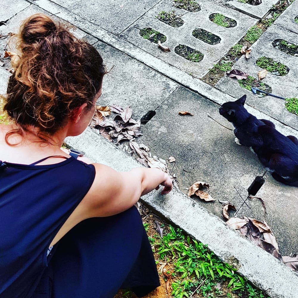 IMG_20180326_220311_077