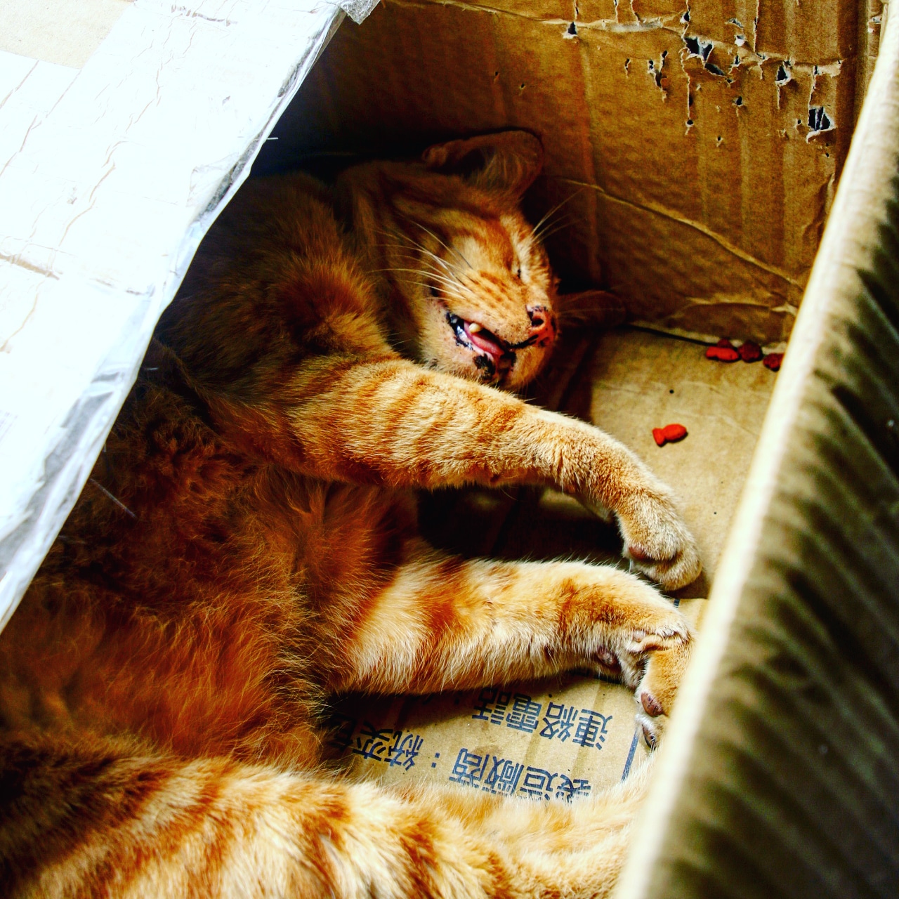 IMG_20180327_213140_740