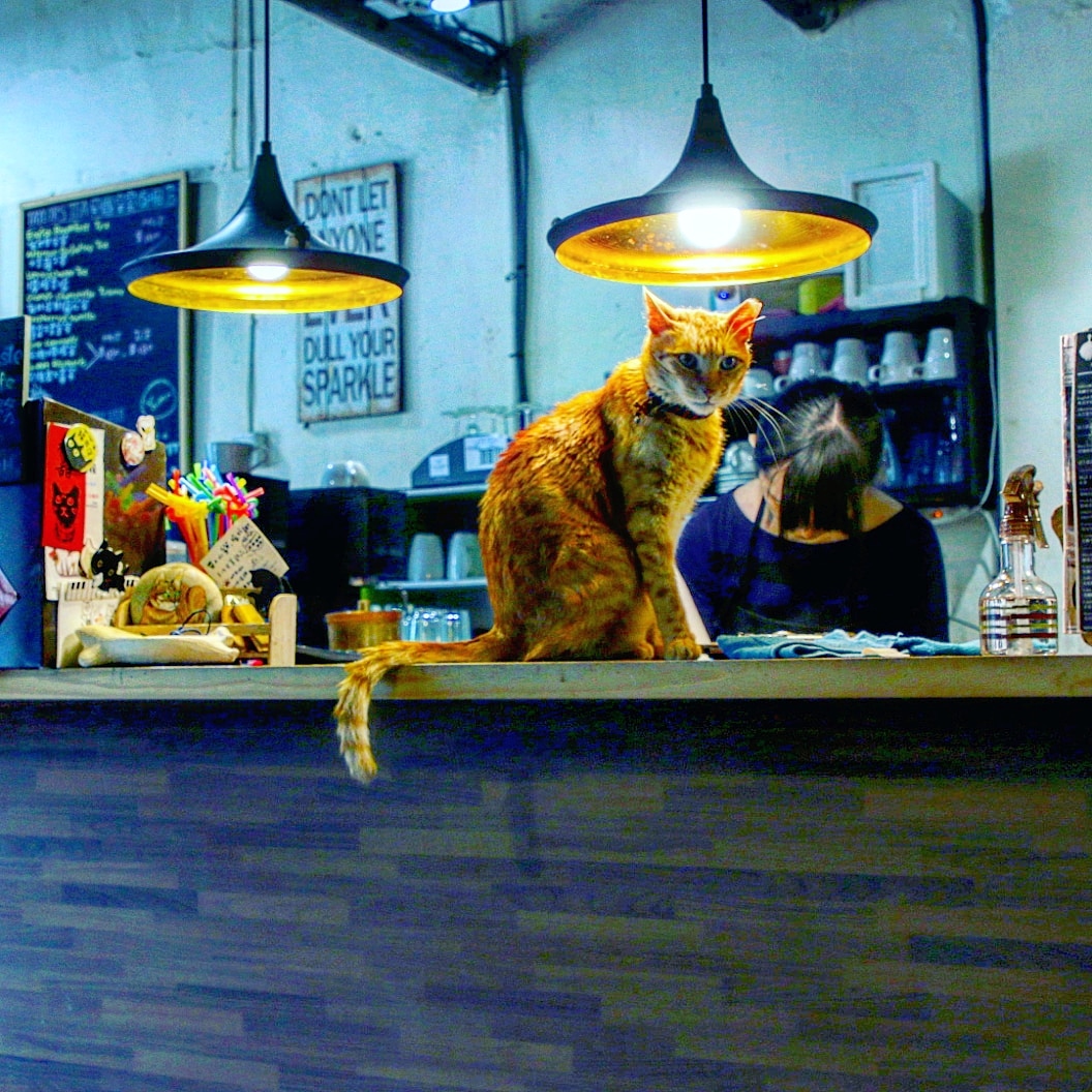 IMG_20180327_213314_128