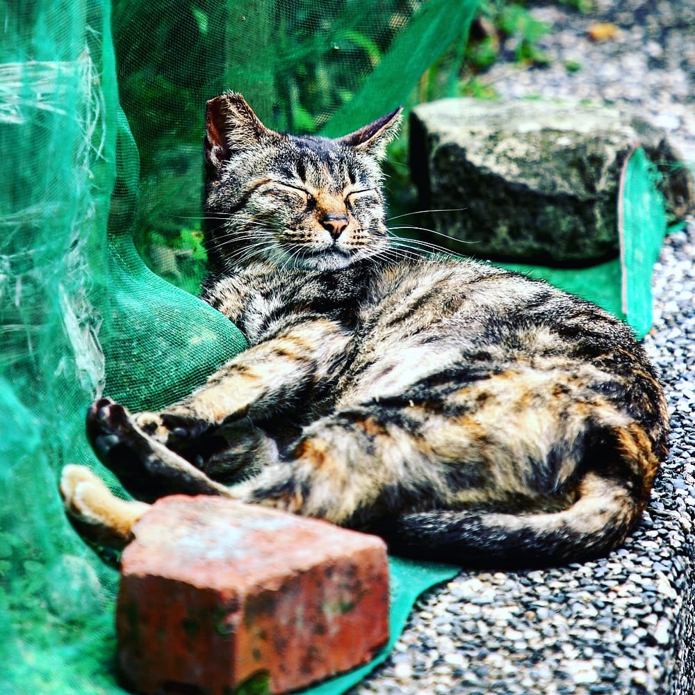 IMG_20180327_213452_539