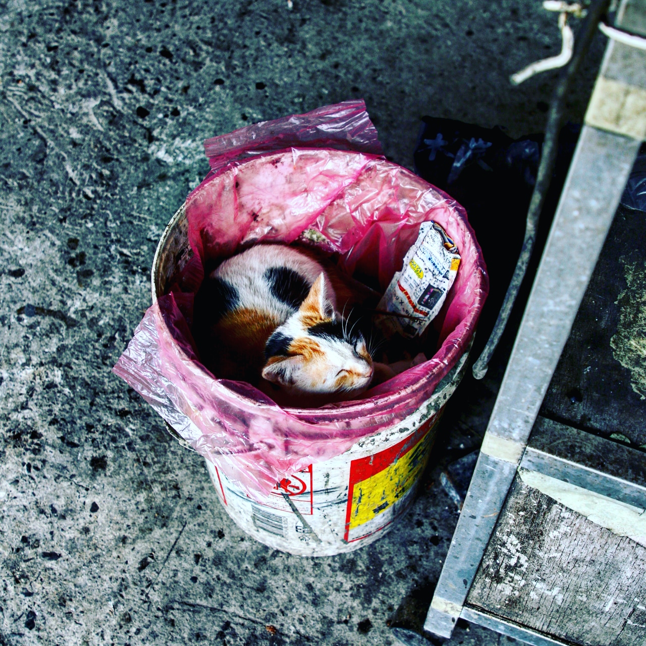 IMG_20180327_213531_187