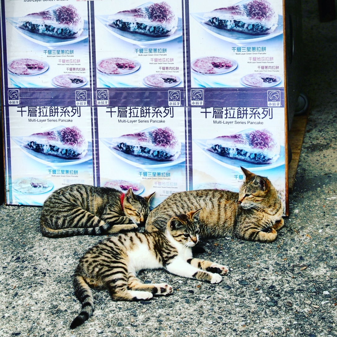 IMG_20180327_213616_235