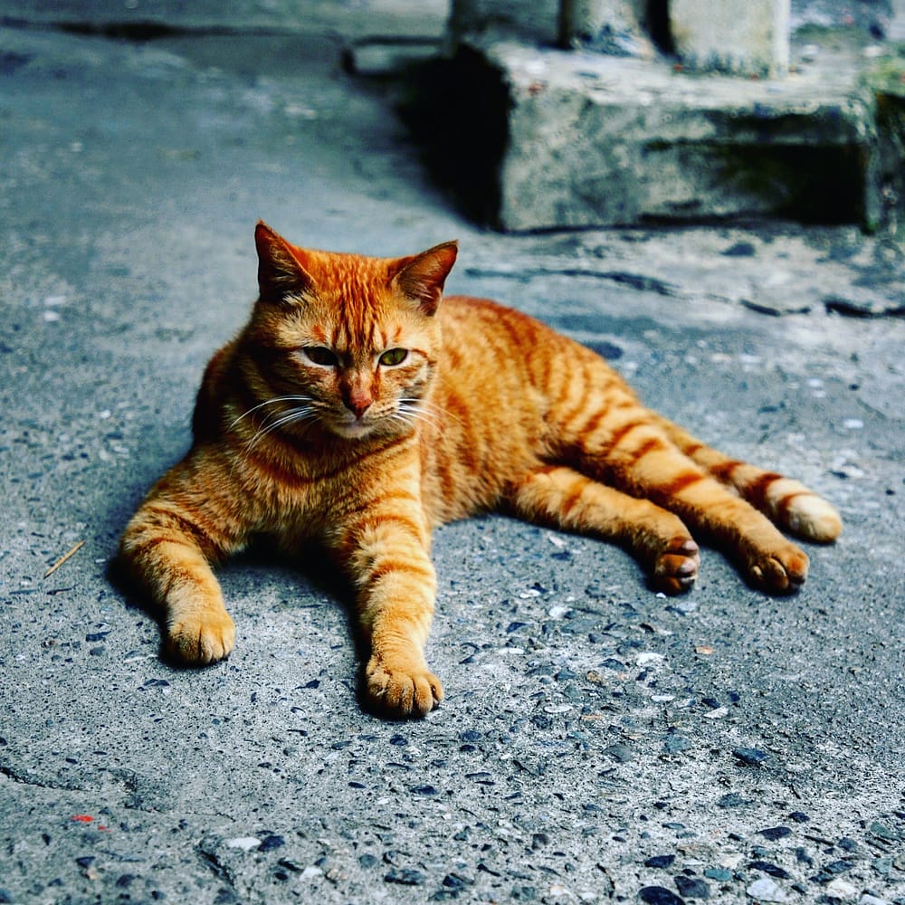 IMG_20180327_213651_926