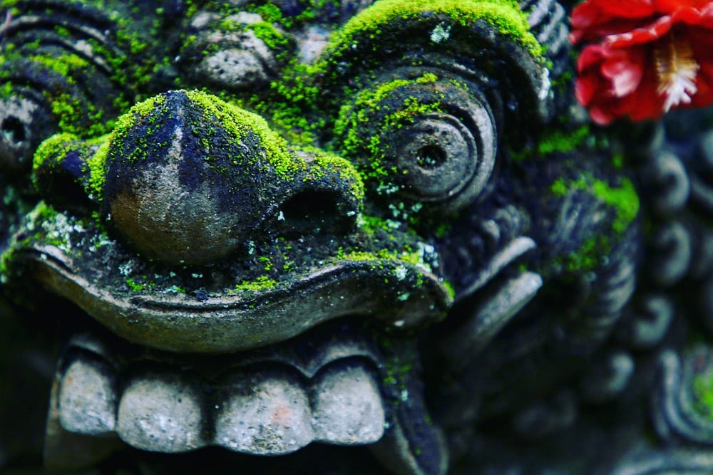 IMG_20171202_224904_871