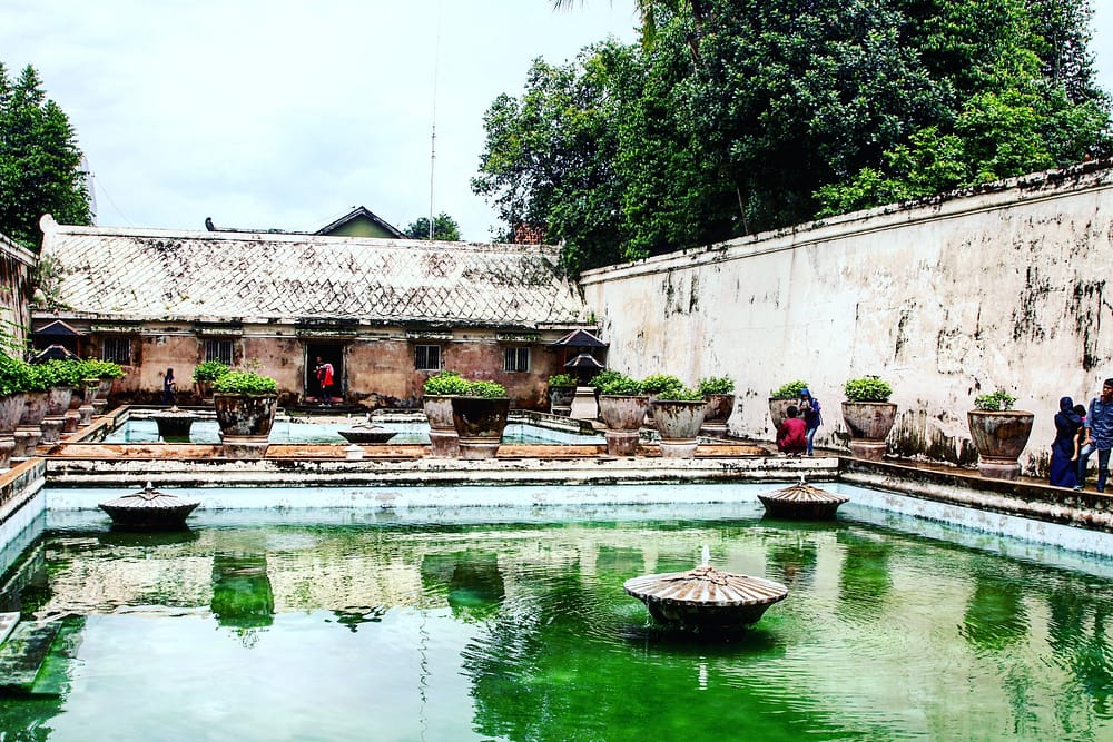 IMG_20171215_194151_743