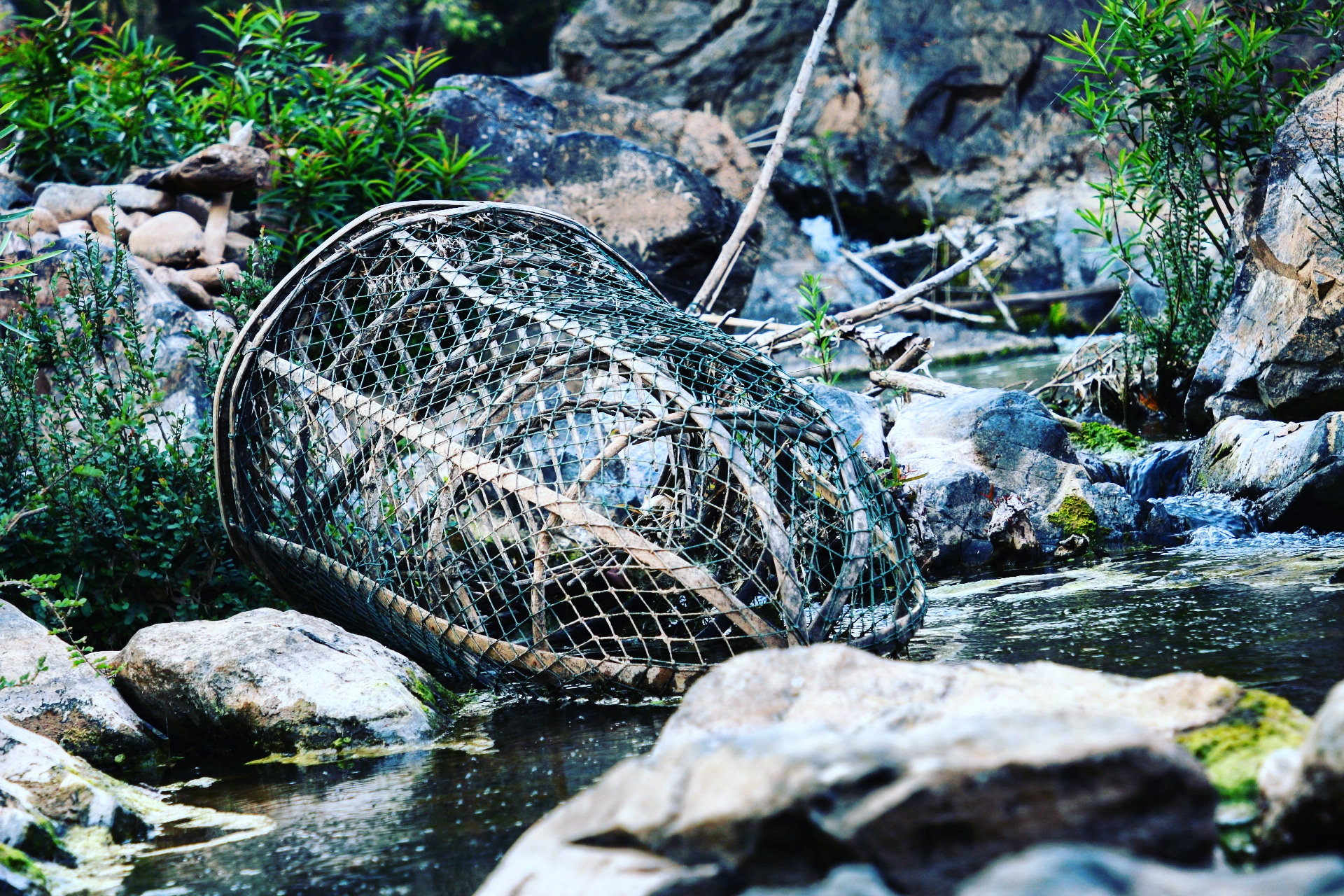 IMG_20180211_112535_523