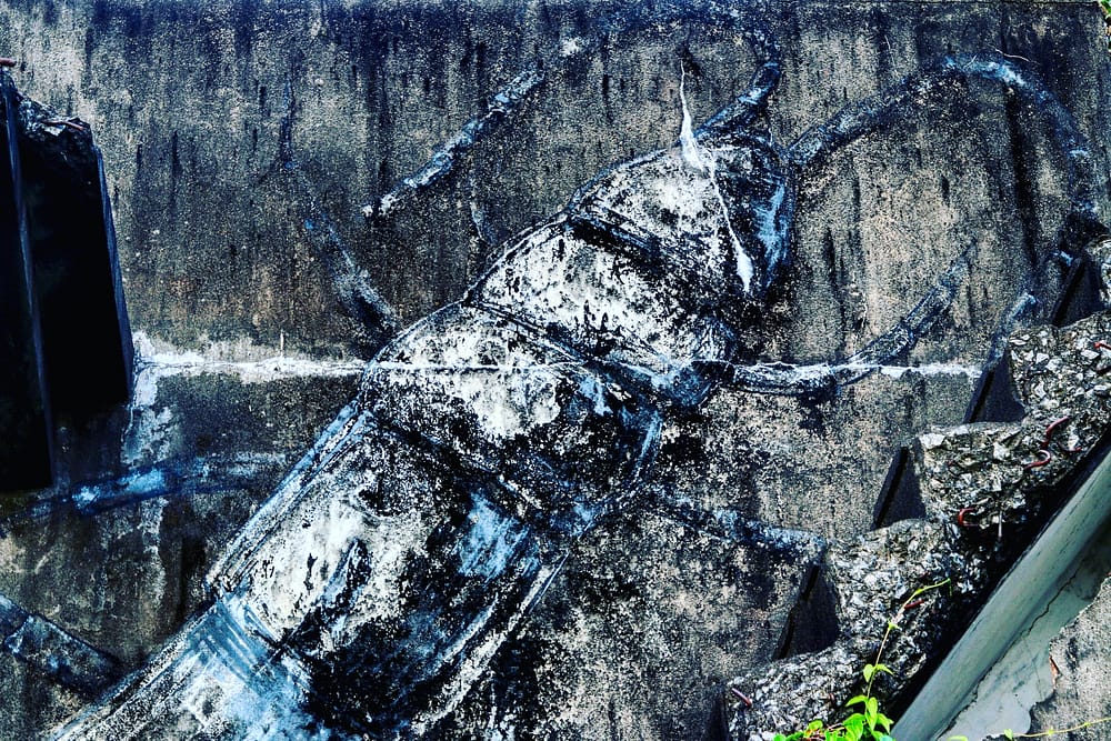 IMG_20180227_130959_657