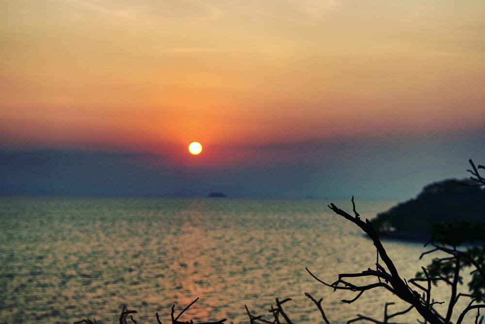 IMG_20180227_131033_591