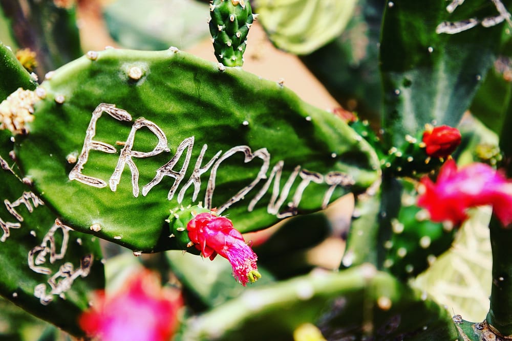 IMG_20180226_154306_438