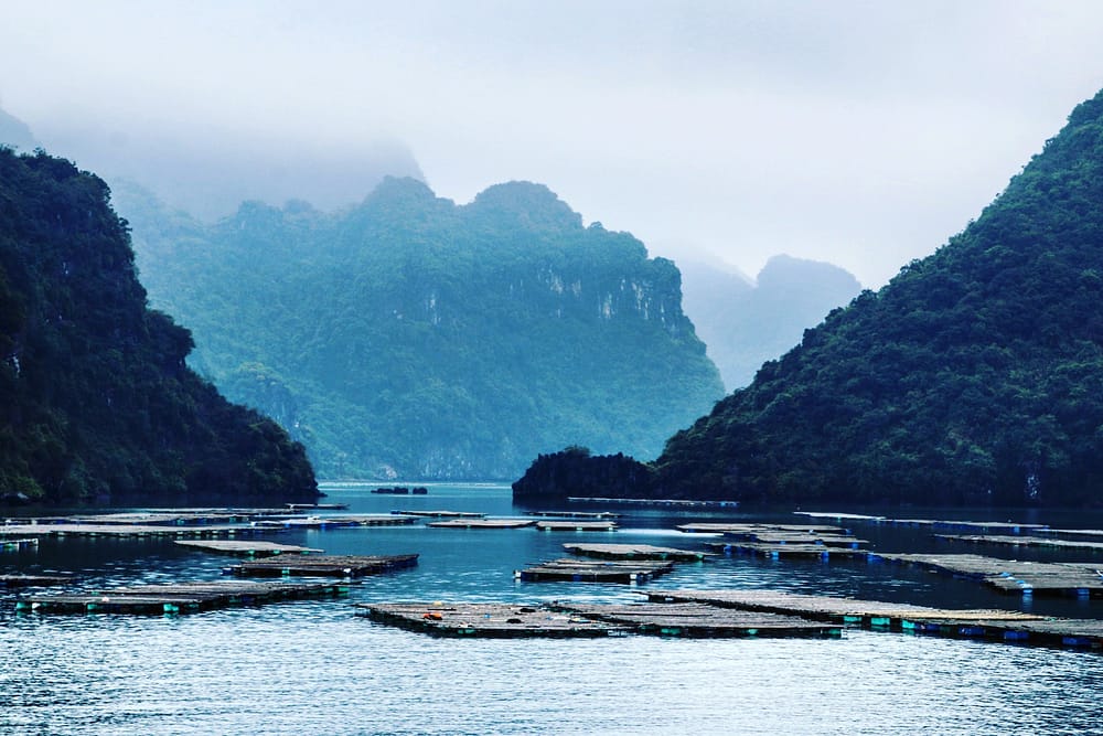 IMG_20180305_144523_379