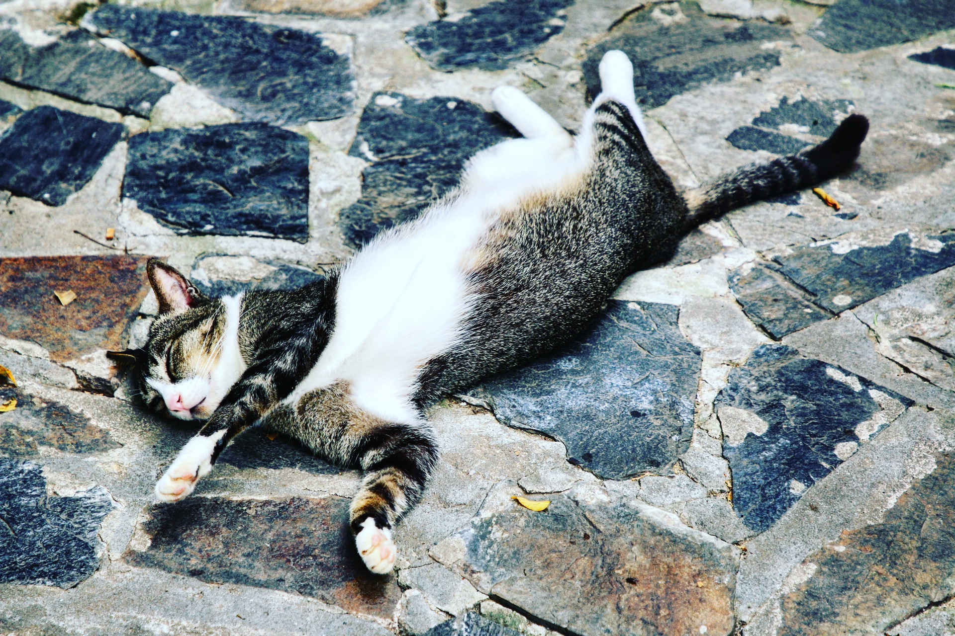 IMG_20180326_212935_908