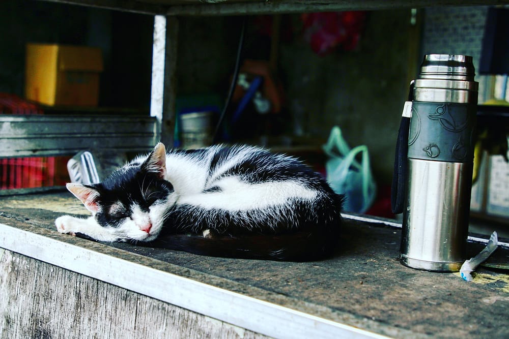 IMG_20180327_213810_711