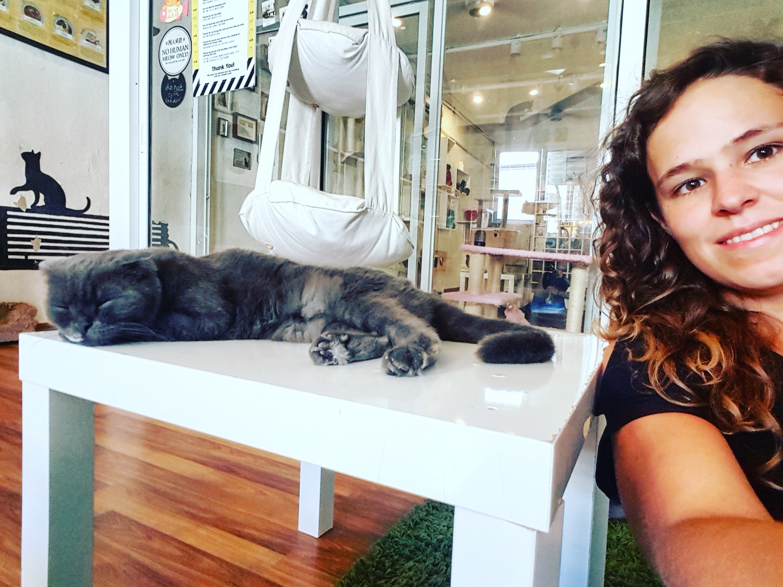 IMG_20171226_220039_547