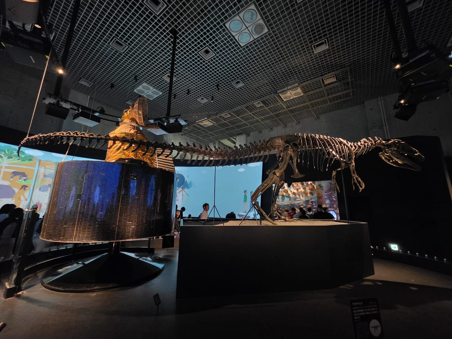 National Museum of Nature and Science