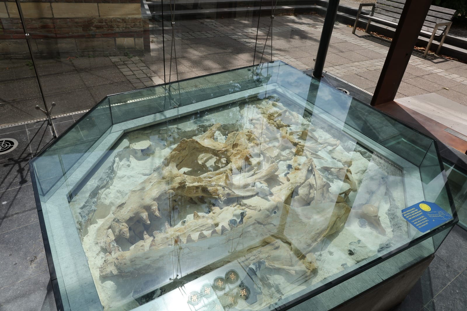 Natuurhistorisch Museum