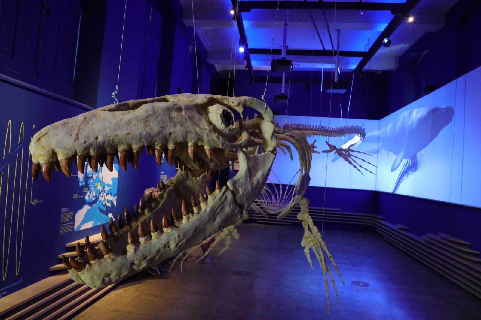Natuurhistorisch Museum