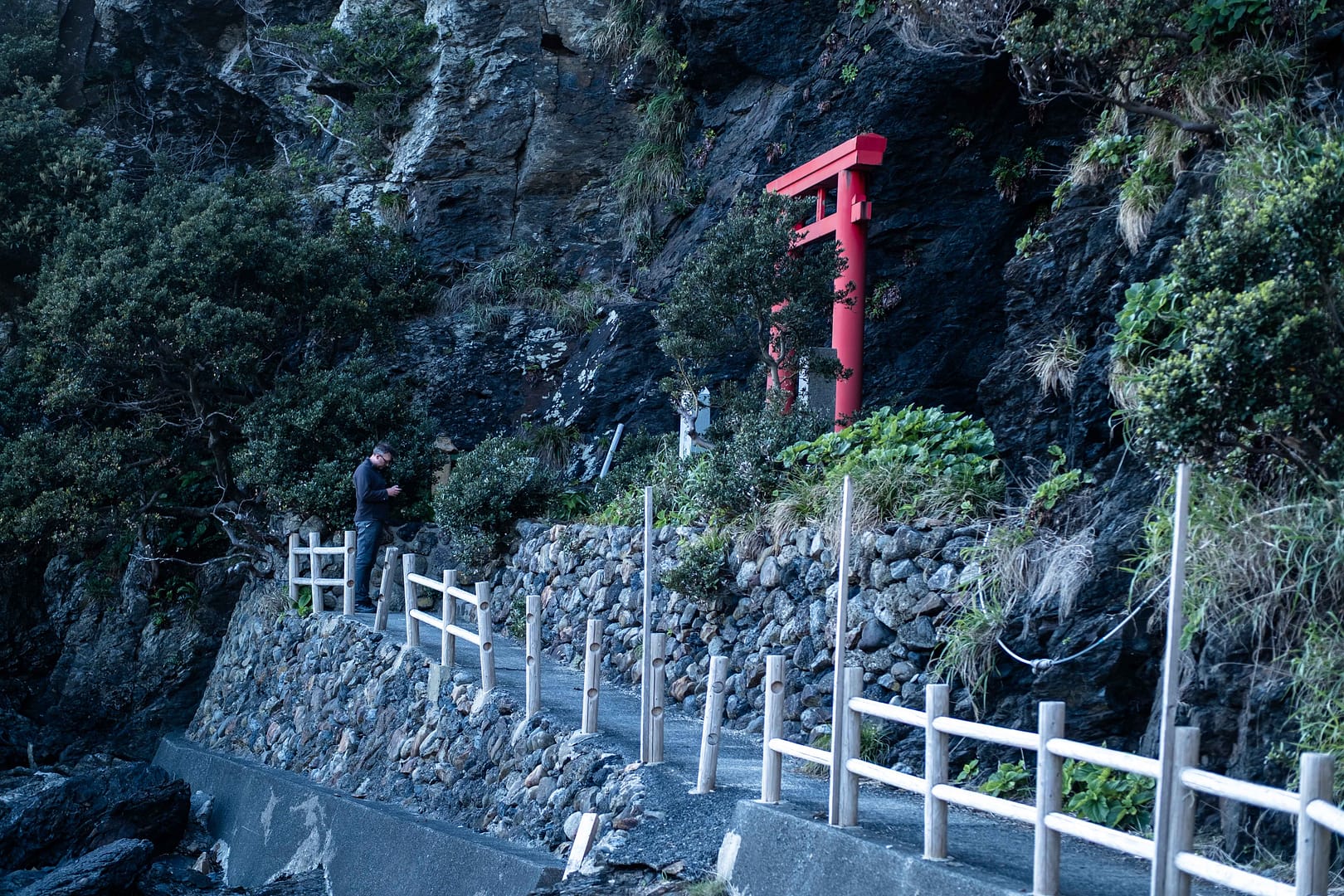 Yakushima