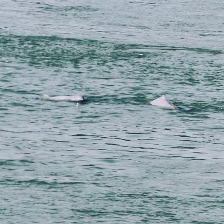 IMG_20180211_112703_830