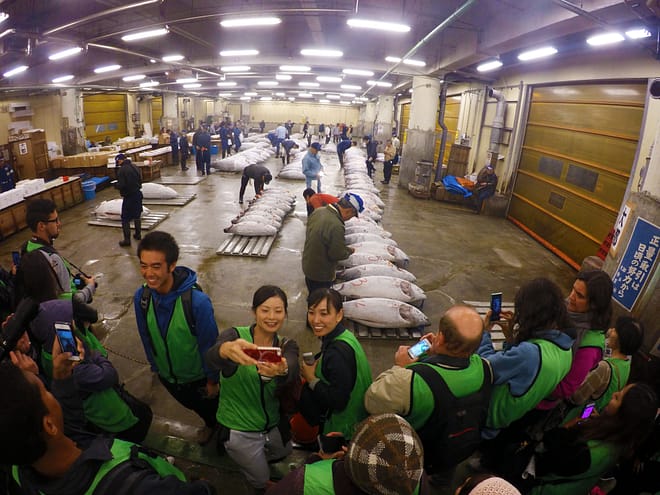 Selfies at tsujiki fish market