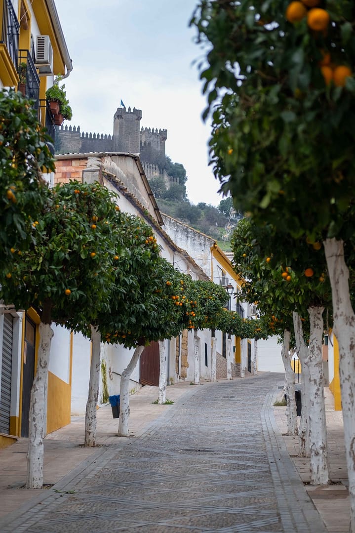 Spanje