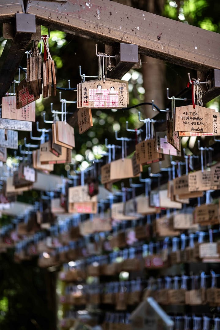 Aoshima Island & Shrine