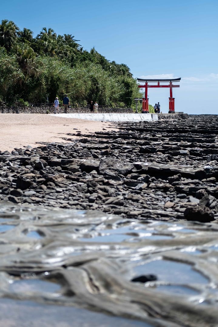 Aoshima Island & Shrine