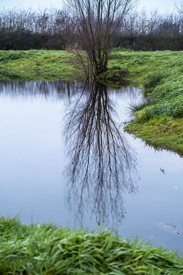 Palingbeekwandelroute (Westhoek)