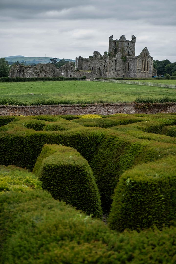 Dunbrody Abbey