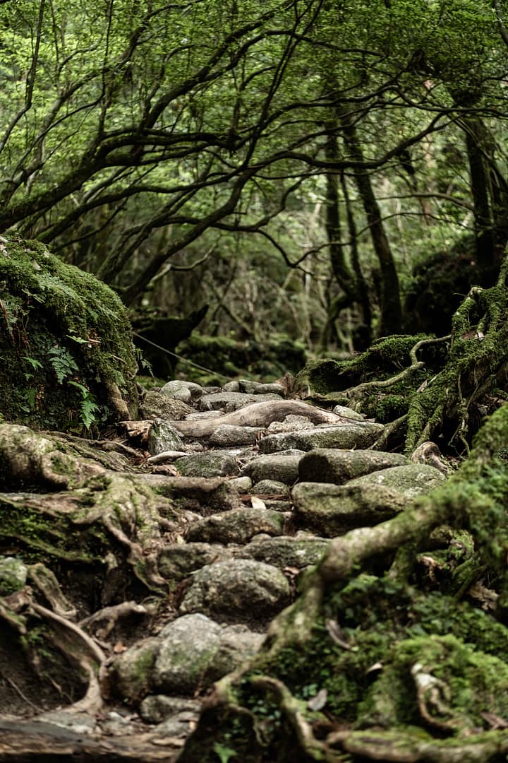 Yakushima