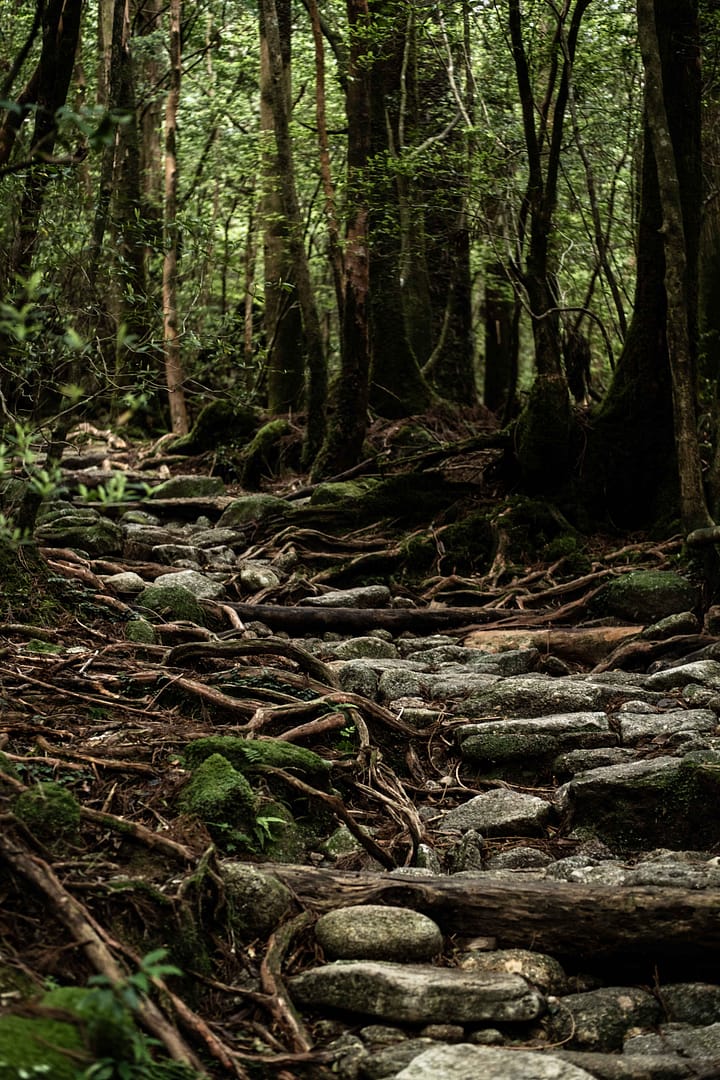 Yakushima